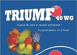 Triumf 40 wg (25 grame)